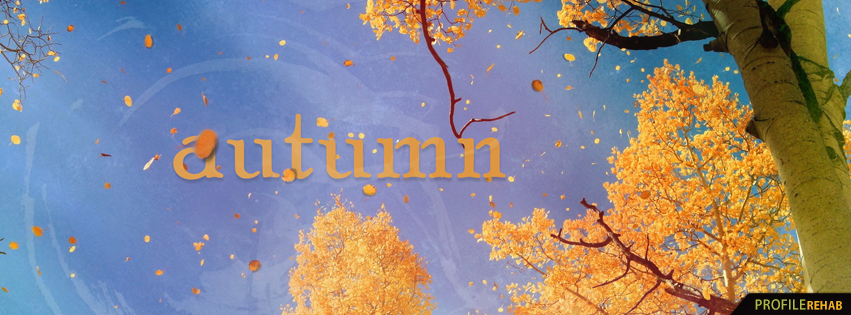 Tree with Falling Leaves Images - Autumn Leaves Falling - Autumn Facebook Covers Preview