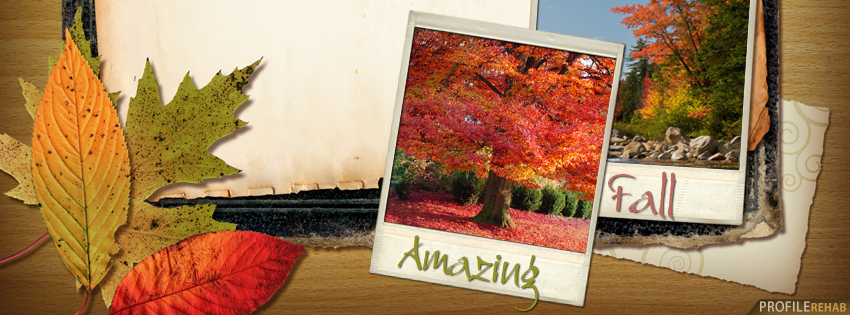 Amazing Fall Facebook Cover - Autumn Pictures for Facebook - Beautiful Autumn Pictures Preview