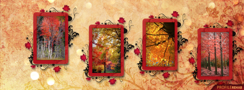 Fall Leaves Cover Photos for Facebook - Autumn Tree Pictures