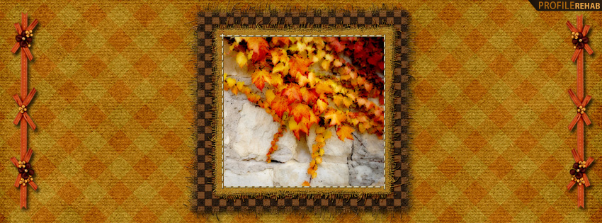 Autumn Ivy Facebook Cover - Pics of Fall Leaves - Autumn Leaves Photos