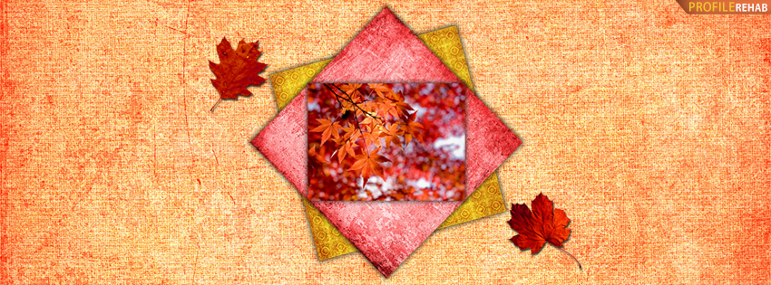 Colorful Fall Leaves Facebook Cover - Picture of Fall - Autumn Picture Preview