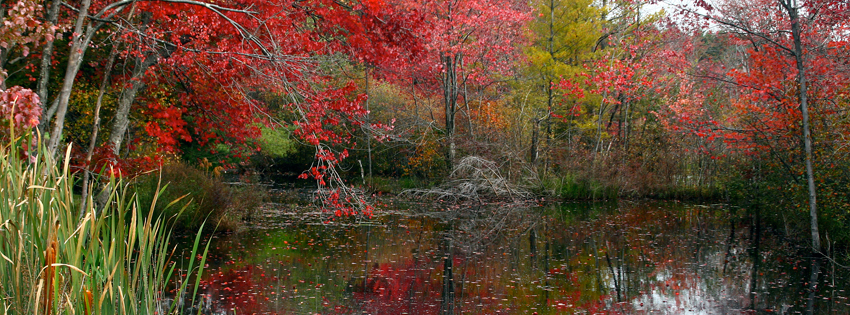 Fall Pond Facebook Cover - Colorful Trees in Autumn - Fall Landscapes Pics