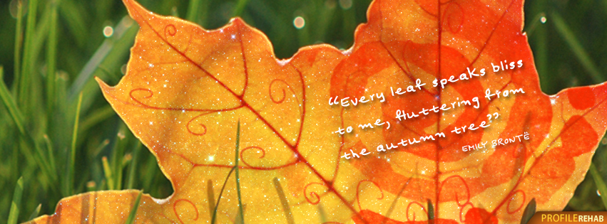 Short Fall Quotes Facebook Cover - Fall Season Quotes - Images of Autumn Quote Preview