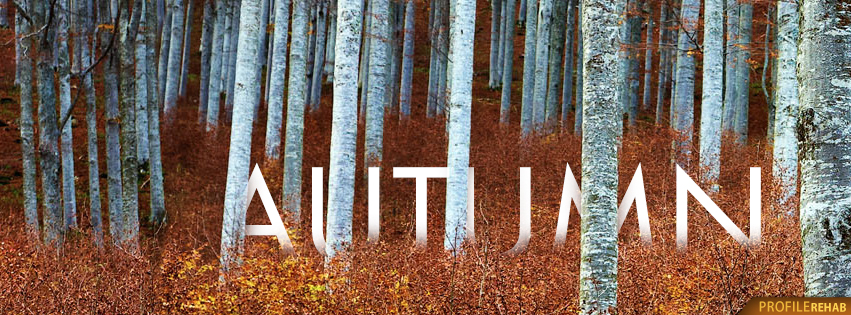 Free Autumn Facebook Covers that say Autumn - Autumn Pictures Free Preview