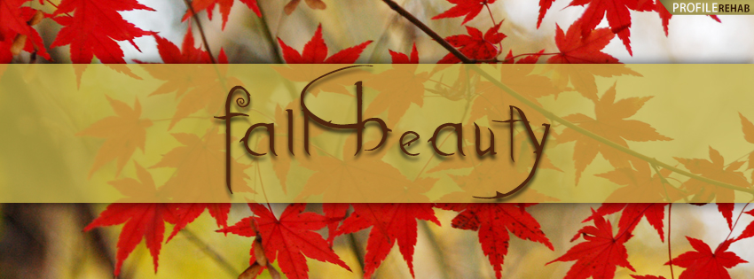 Fall Beauty Facebook Cover - Fall Cover Pictures for Facebook