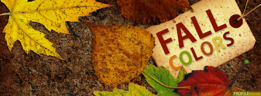 Fall Colors Quote Facebook Cover - Images of Fall Colors Text - Unique Pics of Fall