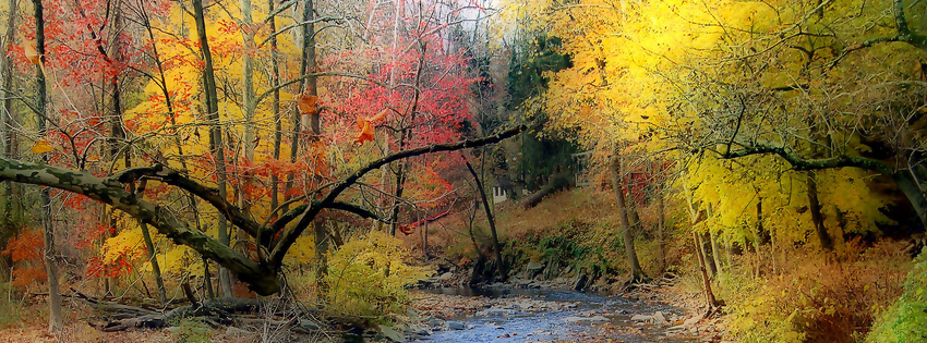 Fall Stream Facebook Cover - Pretty Autumn Landscapes - Fall Landscape Pictures Preview