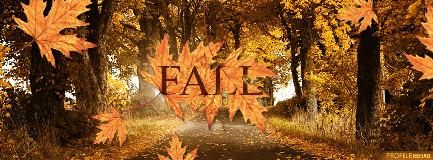 Beautiful Fall Leaves Pictures for Facebook Cover - Autumn Facebook Cover Preview