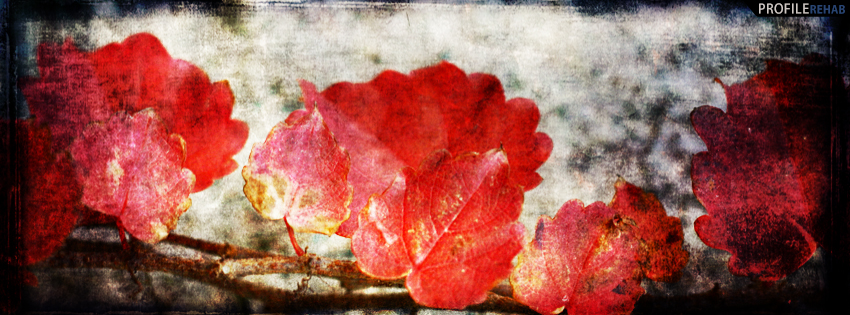 Grunge Fall Leaves Facebook Cover - Grunge Fall FB Covers - Beautiful Autumn Images free