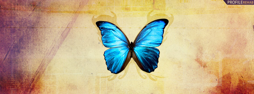 Blue Butterfly Facebook Cover