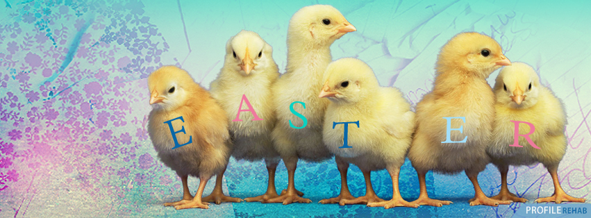Easter Chick Pictures - Cute Easter Chick Images