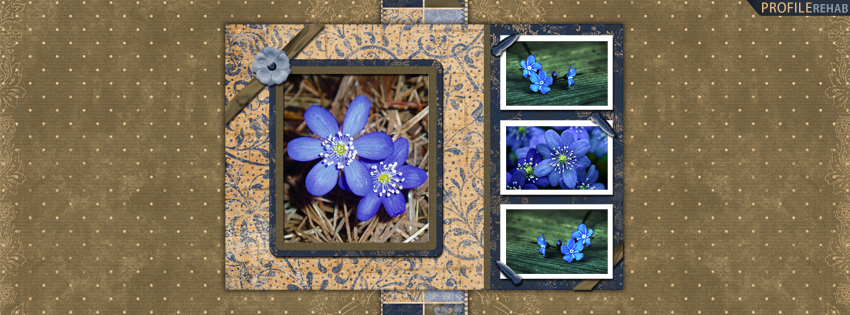 Blue & Yellow Flowers Facebook Cover for Timeline Preview