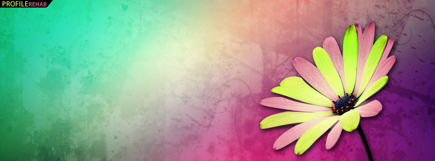 Free Flower Facebook Covers for Timeline, Cute Flower Timeline Covers