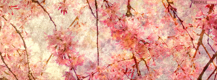 Pink Rustic Flowers Facebook Cover Facebook Cover Download