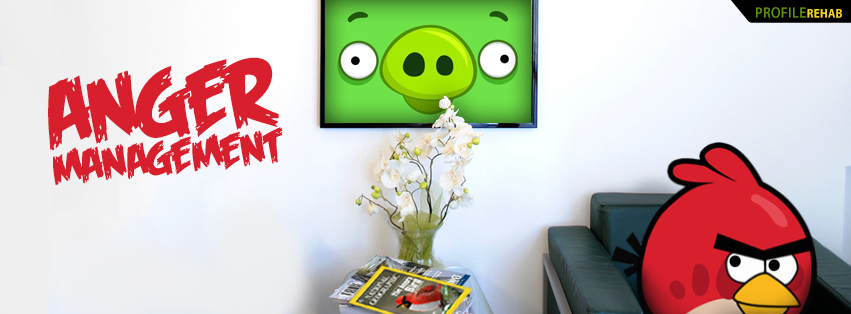 Angry Birds Anger Management Facebook Cover Preview