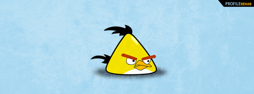 Yellow Angry Bird Facebook Cover Preview