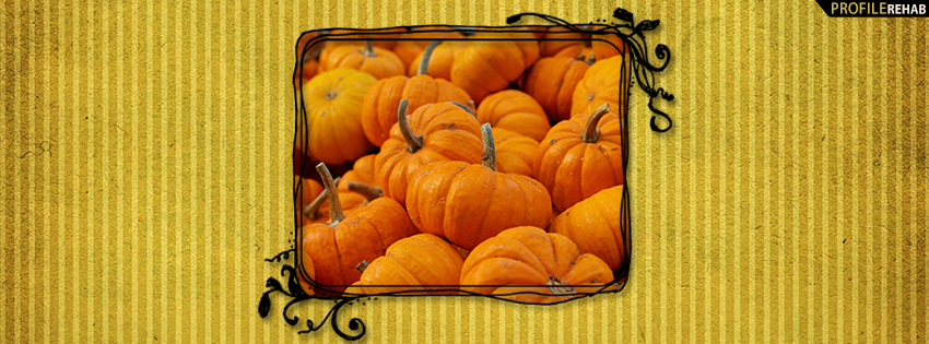 Halloween Pumpkins Facebook Cover - Cute Pumpkin Images - Pumpkin Pictures