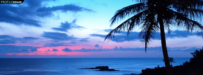 Beautiful Sunset and Palm Tree Facebook Cover