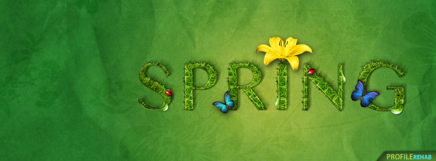 Spring Butterfly Facebook Cover