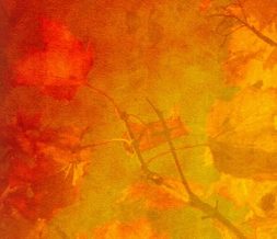 Red Fall Leaves Myspace Layout - Autumn Leaves Theme - Red Fall Design Preview