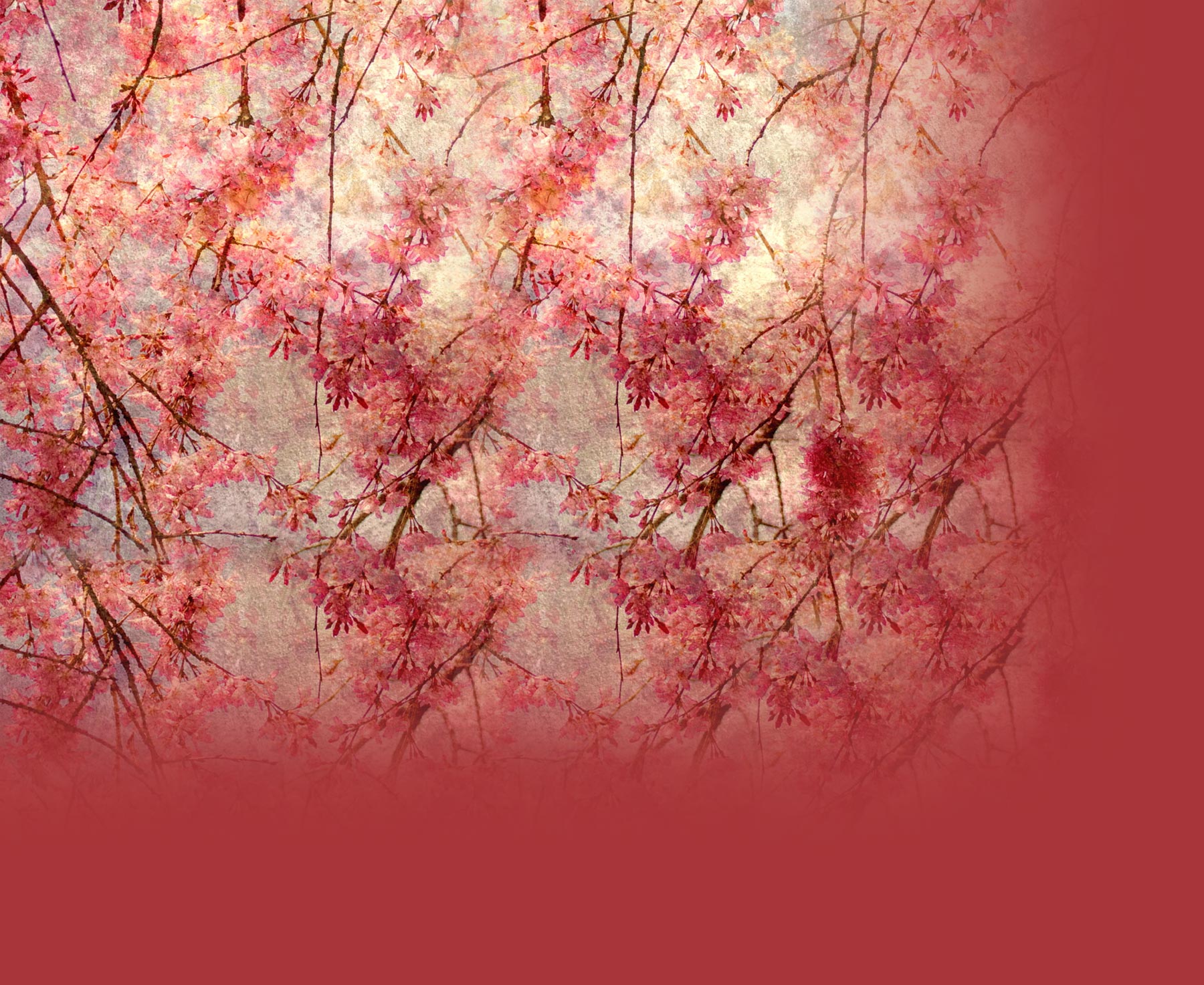 Pink Vintage Flowers Twitter BackgroundVintage Theme for Twitter