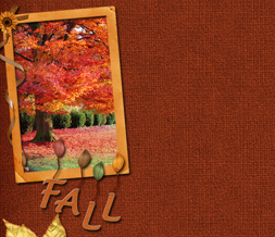 Girly Autumn Twitter Background - Fall Tree Layout for Twitter