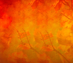 Autumn Colors Twitter Background - Fall Background for Twitter