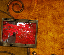 Red Leaves Twitter Background - Autumn Tree Layout for Twitter