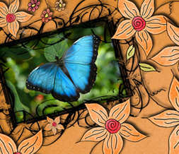 Orange & Blue Butterfly Twitter Background - Orange Twitter Layout with Butterflies Preview