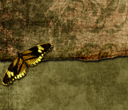 Earth Tones Butterfly Twitter Background - Yellow Butterfly Layout for Twitter