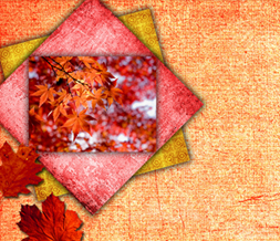 Pretty Fall Leaves Twitter Background - Orange Leaves Design for Twitter