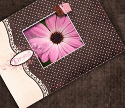 Pink Daisy Twitter Background - Brown & Pink Twitter Theme Preview