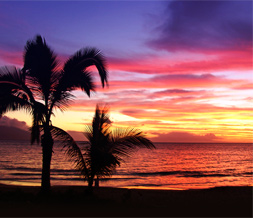 Beautiful Maui Sunset Twitter Background - Sunset in Maui Theme for Twitter