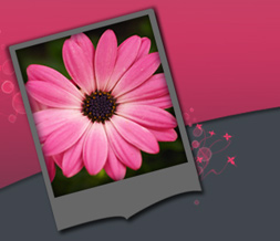 Hot Pink & Gray Flowers Twitter Background - Pink Flower Layout for Twitter Preview