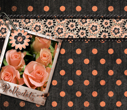 Peach Roses Background for Twitter with Polkadot Quote
