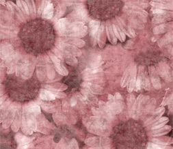 Free Pink Sunflower Default Layout - Pretty Sunflower Myspace Layout Preview