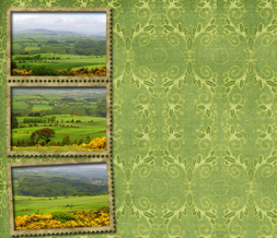 Green Meadow Twitter Background - Scenic Vintage Layout for Twitter