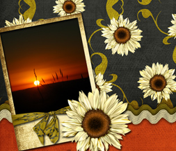 Sunflower Sunset Twitter Background -Sunflower Design for Twitter Preview