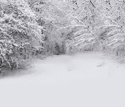 Winter Landscape Twitter Background -  Scenic Snow Background for Twitter Preview