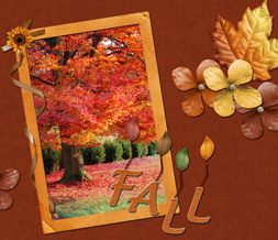 Fall Quotes Wallpaper - Pretty Fall Tree Background