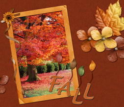 Fall Wallpaper on Fall Quotes Wallpaper   Pretty Fall Tree Background Preview