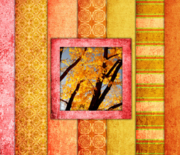 Bright Autumn Wallpaper Download - Pretty Yellow Tree Background