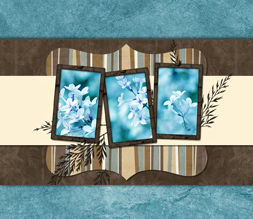 Blue & Brown Flowers Wallpaper - Pretty Flower Wallpaper Download