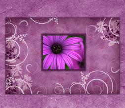 Elegant Purple Flowers Wallpaper - Pretty Flower Wallpaper Image