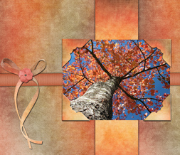 Beautiful Fall Tree Wallpaper - Orange Autumn Background Preview