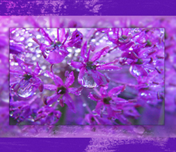 Pretty Purple Flower Wallpaper - Beautiful Flowers Wallpaper