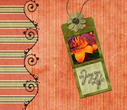 Green & Orange Flower Wallpaper with Quote that says Enjoying Life Preview
