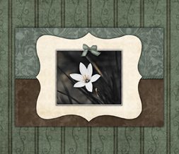 Green & Brown Flower Wallpaper - Vintage Flower Background