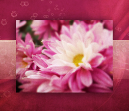 Maroon Flowers Wallpaper - Purple Flower Background Image Preview
