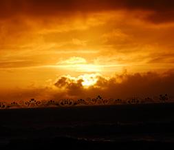 Dark Sunset Wallpaper - Pretty Ocean Sunset Background Image